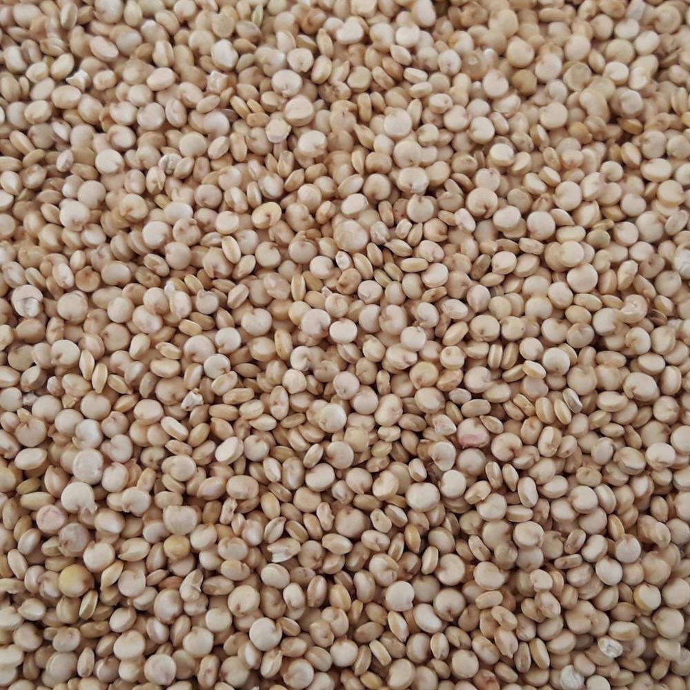 QUINOA BLANCA PRODUCTO